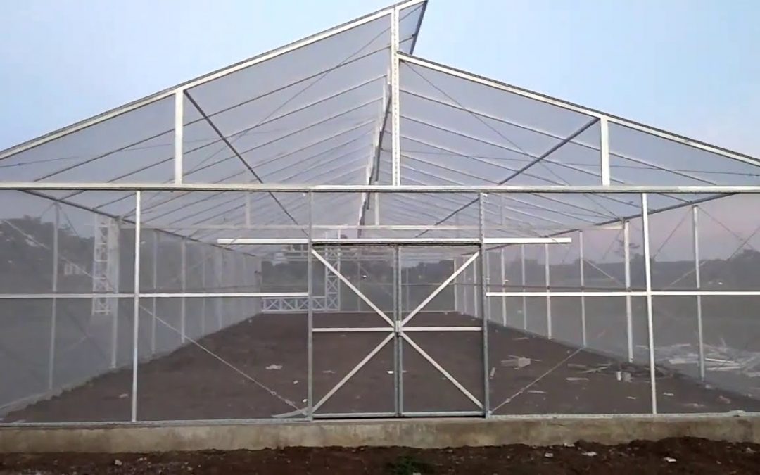 greenhouse baja ringan